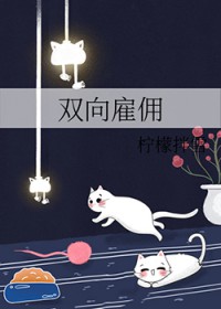 ˫Ӷ