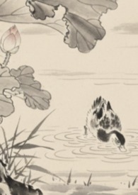 ȫ���Ƕ��ڵ��ҳ����� 1v1