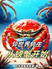 ������ת�����з��ʼ