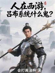 �������Σ�����ϵͳʲô����