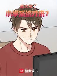 ����ѧ�ˣ�Сѧϵͳ������